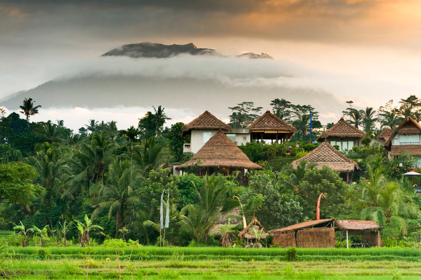 Bali Rice Fields